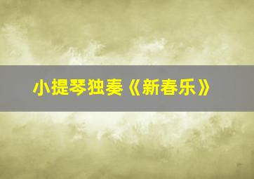 小提琴独奏《新春乐》