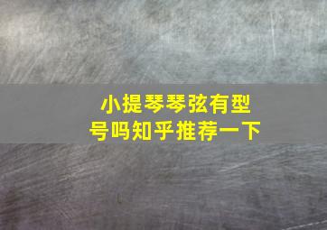 小提琴琴弦有型号吗知乎推荐一下