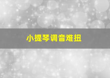 小提琴调音难扭