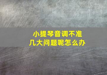 小提琴音调不准几大问题呢怎么办