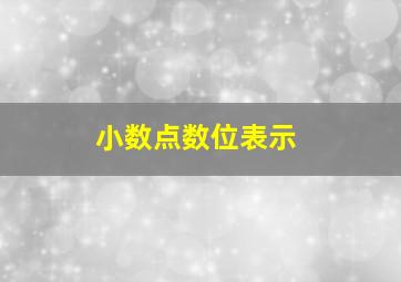 小数点数位表示