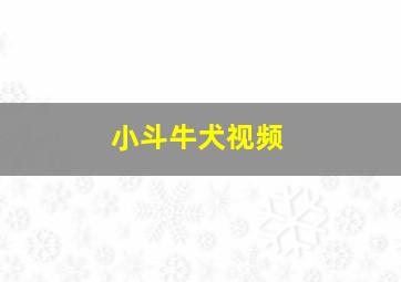 小斗牛犬视频