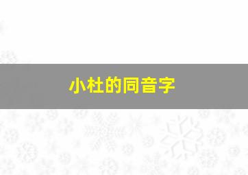 小杜的同音字