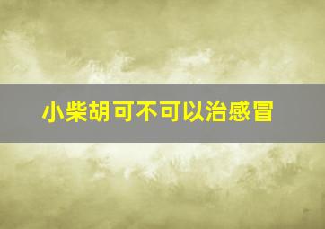 小柴胡可不可以治感冒