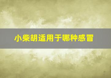 小柴胡适用于哪种感冒