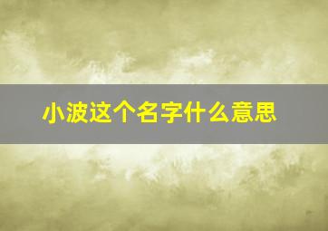 小波这个名字什么意思