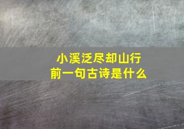 小溪泛尽却山行前一句古诗是什么