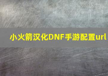 小火箭汉化DNF手游配置url