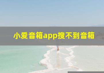 小爱音箱app搜不到音箱