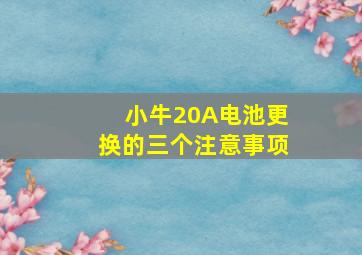 小牛20A电池更换的三个注意事项