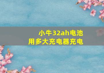 小牛32ah电池用多大充电器充电