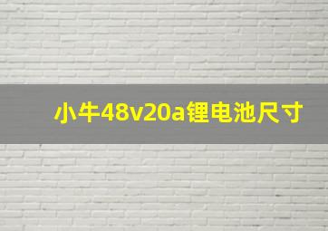 小牛48v20a锂电池尺寸