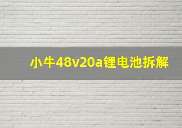 小牛48v20a锂电池拆解