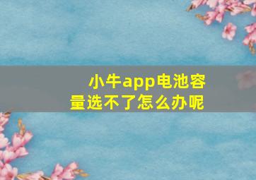 小牛app电池容量选不了怎么办呢