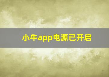 小牛app电源已开启