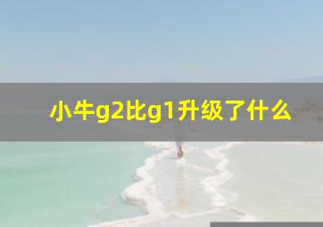 小牛g2比g1升级了什么