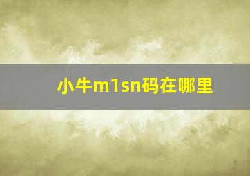 小牛m1sn码在哪里