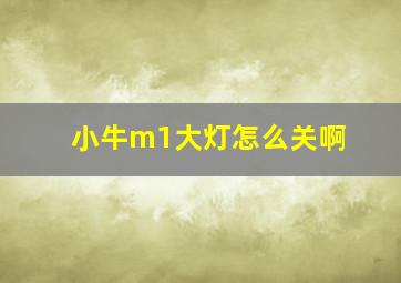 小牛m1大灯怎么关啊