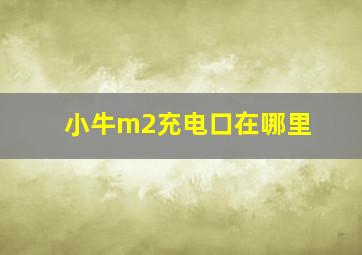 小牛m2充电口在哪里