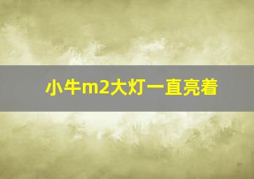 小牛m2大灯一直亮着