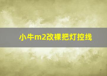 小牛m2改裸把灯控线