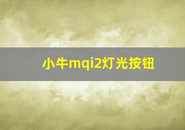 小牛mqi2灯光按钮