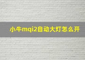 小牛mqi2自动大灯怎么开