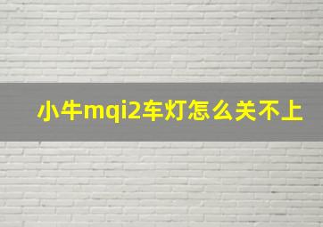 小牛mqi2车灯怎么关不上