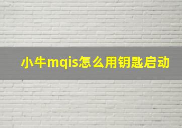 小牛mqis怎么用钥匙启动