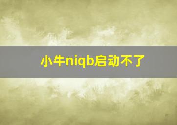 小牛niqb启动不了