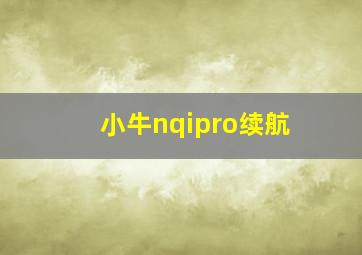 小牛nqipro续航