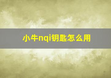 小牛nqi钥匙怎么用