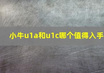 小牛u1a和u1c哪个值得入手