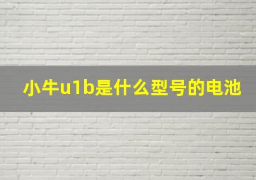 小牛u1b是什么型号的电池