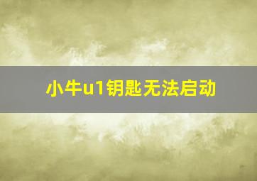 小牛u1钥匙无法启动