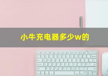 小牛充电器多少w的