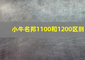 小牛名邦1100和1200区别