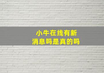 小牛在线有新消息吗是真的吗