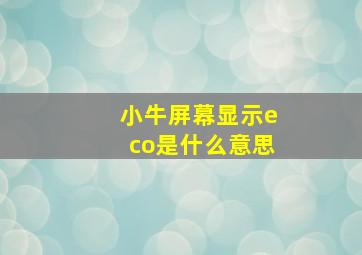 小牛屏幕显示eco是什么意思