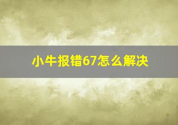 小牛报错67怎么解决