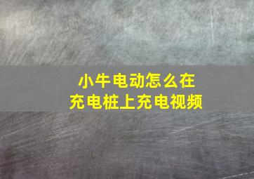 小牛电动怎么在充电桩上充电视频