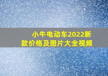 小牛电动车2022新款价格及图片大全视频