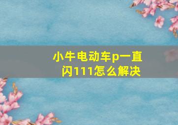 小牛电动车p一直闪111怎么解决