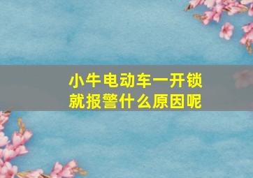 小牛电动车一开锁就报警什么原因呢