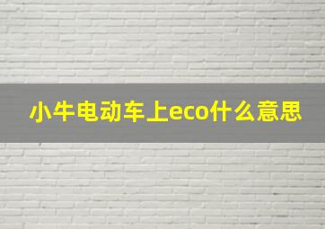 小牛电动车上eco什么意思