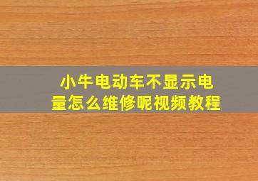 小牛电动车不显示电量怎么维修呢视频教程