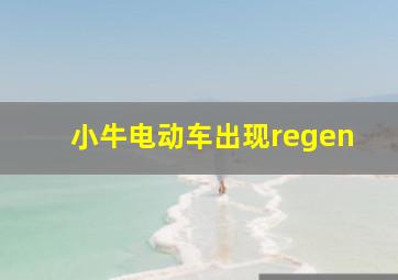 小牛电动车出现regen