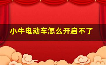 小牛电动车怎么开启不了