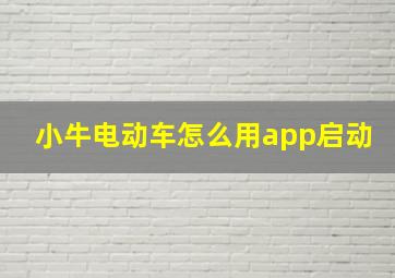 小牛电动车怎么用app启动