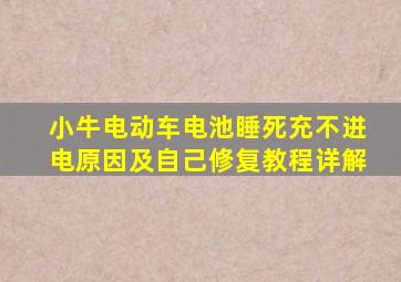 小牛电动车电池睡死充不进电原因及自己修复教程详解